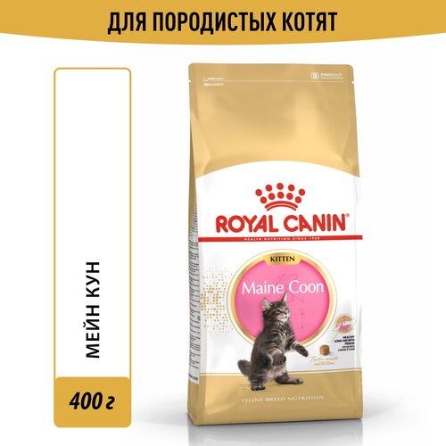 фото Сухой корм Royal Canin Maine Coon Kitten (Мейн Кун Киттен) для котят породы Мэйн Кун от 4 до 15 месяцев, 0.4 кг