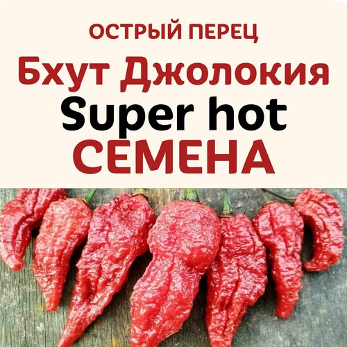 фото Семена перец острый Бхут Джолокия Super hot