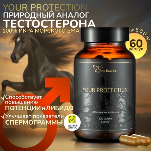 фото YOUR PROTECTION - 100% икра морского ежа. Единственный в своем роде. (60 капсул)