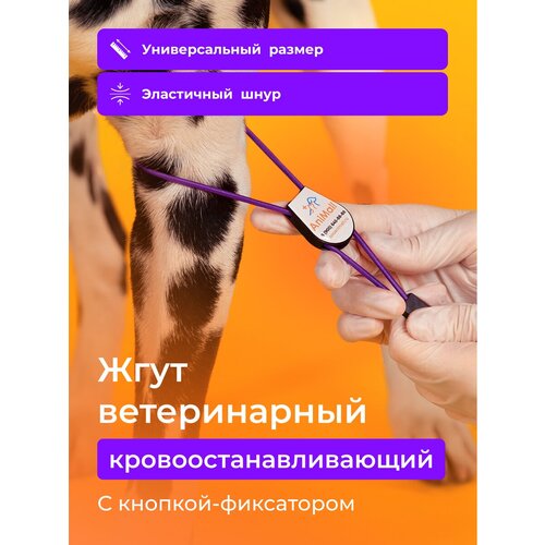 фото Жгут ветеринарный кровоостанавливающий с фиксатором AniMall / Фиолетовый / Медицинский