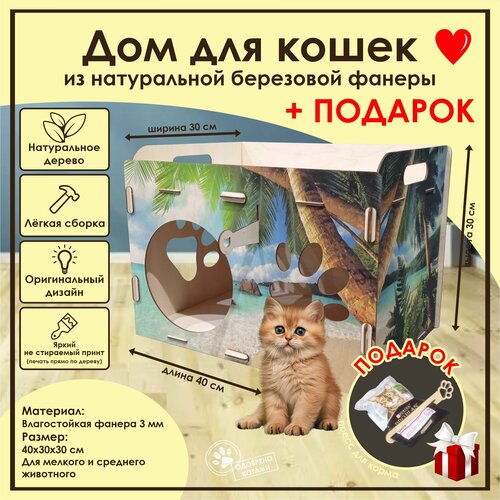 фото Домик для кошек Мини / Деревянный домик для кота / Лежак для кошек / Лежанка для кошки из фанеры / Домик для животных из дерева