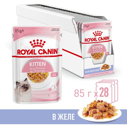 фото Влажный корм в желе Royal Canin Kitten Jelly (Киттен Желе) для котят до 12 месяцев, 28*0,085 г