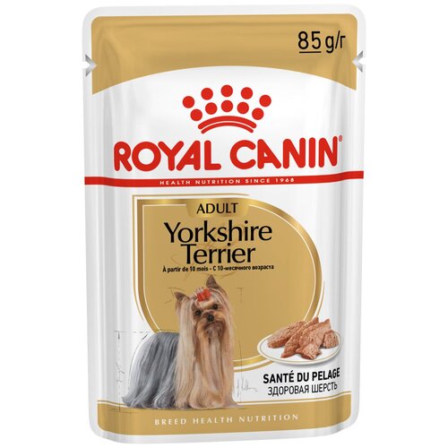 фото Влажный корм для собак Royal Canin породы Йоркширский терьер, для здоровья кожи и шерсти 1 уп. х 1 шт. х 85 г (для мелких и карликовых пород)