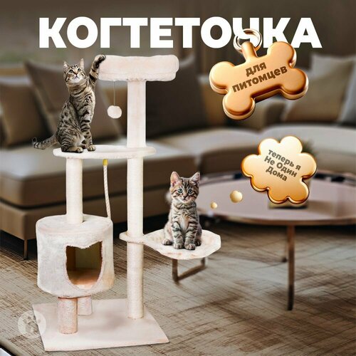 фото Дом-когтеточка, комплекс для кошек, 