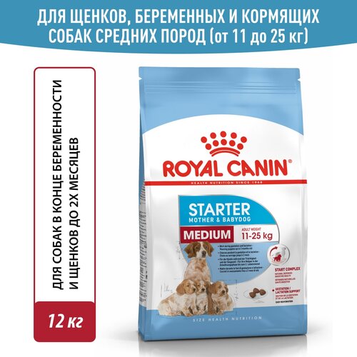 фото Корм для щенков Royal Canin Medium Starter (Медиум Стартер) средних размеров до 2-х месяцев, беременных и кормящих сук, 12 кг