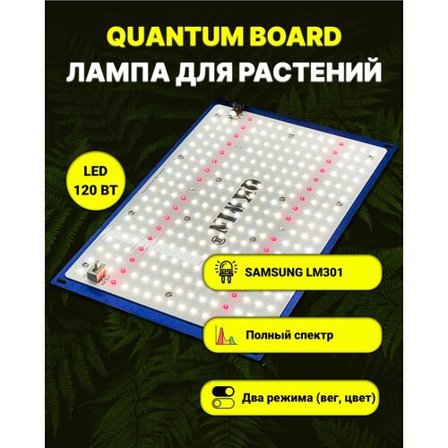 фото Светильник для растений/ фитолампа полного спектра/ quantum board/ квантум борд/ 120 ватт/ Mean Well/ диоды Samsung LM-301. 5000К, UV, IR