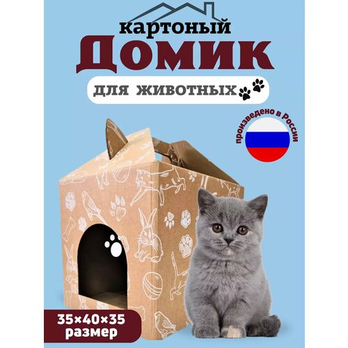 фото Домик для кошек и собак Borokot