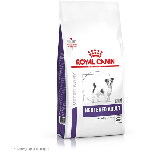 фото Royal Canin Neutered Adult Small Dog Корм сухой для взрослых стерилизованных/кастрированных собак мелких пород, 3,5 кг.