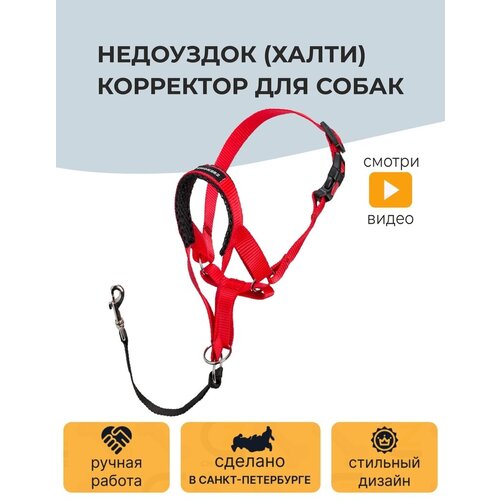 фото Недоуздок (Халти) №3 корректор для собак CHOKERZ. Обхват морды 20-30 см, шеи - 40-50 см