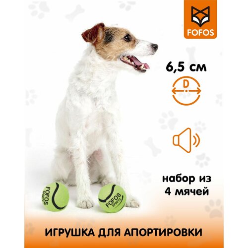 фото Теннисные мячики 2 шт / Игрушка для собак с пищалкой FOFOS Sports Fetch Ball 2pk