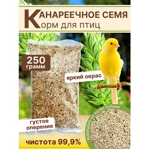 фото Канареечное семя корм для птиц 250г