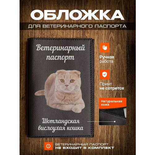 фото Обложка на ветеринарный паспорт для кошек с принтом Скоттиш-фолд