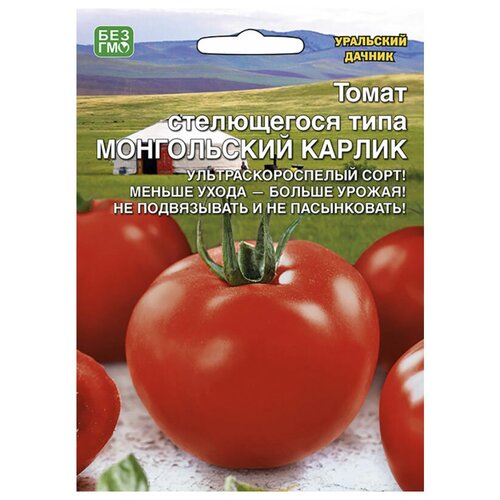 Семена Уральский дачник Томат Монгольский карлик стелющегося типа, 20 шт. фото