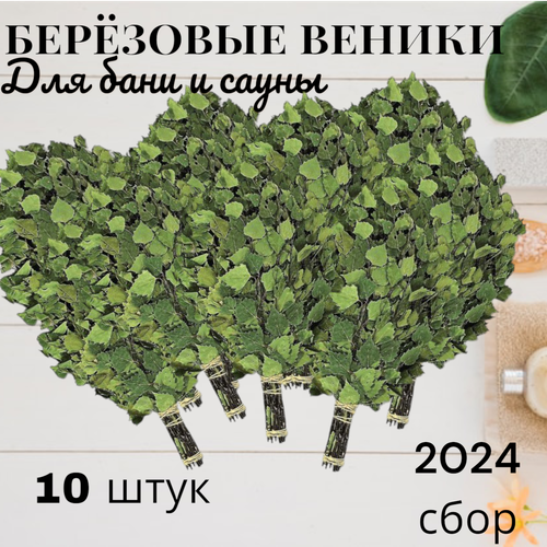 фото Набор березовых веников для бани и сауны, 10 штук, новый урожай, 2024 год