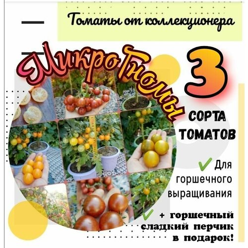 Набор семян 3 сорта, 