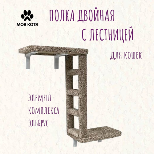 фото Полка двойная с лестницей для кошек Моя Котя бежевая