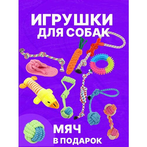 фото Игрушки для собак набор 