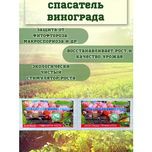 фото Инсектицидно-фунгицидный препарат Sumi-Agro 