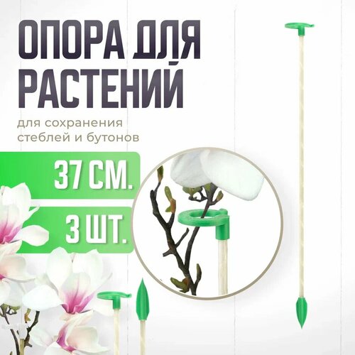 фото Опора для растений с кольцом, колышки садовые для рассады, для орхидей , комнатных цветов 37 см 3 шт