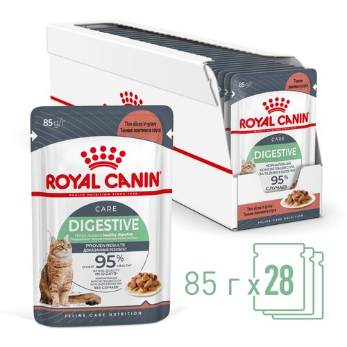 фото Влажный корм для взрослых кошек Royal Canin Digest Sensitive (Дайджест Сенситив) с чувствительным пищеварением, соус, 28 х 85г