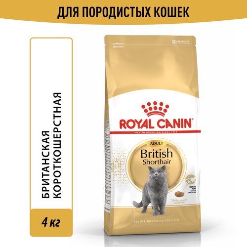 фото Сухой корм Royal Canin British Shorthair Adult (Британская Короткошерстная Эдалт) для взрослых кошек британской породы от 1 года до 12 лет, 4 кг