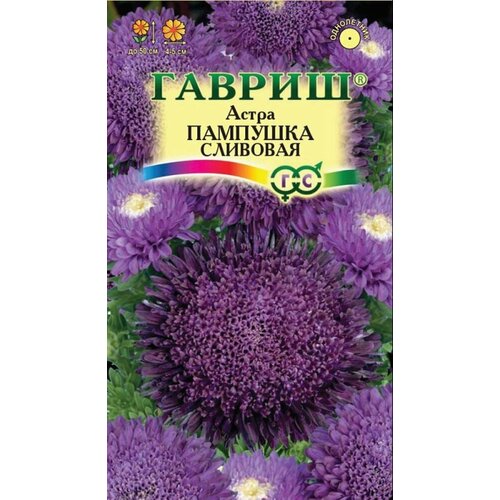 фото Семена Астра Пампушка Сливовая помпонная 0,3г Одн 50см (Гавриш)