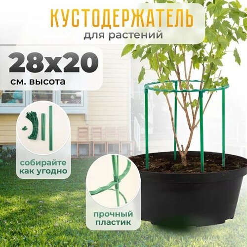 фото Опора для растений, цветов круглая / Поддержка для растений 1 кольцо 28х22см