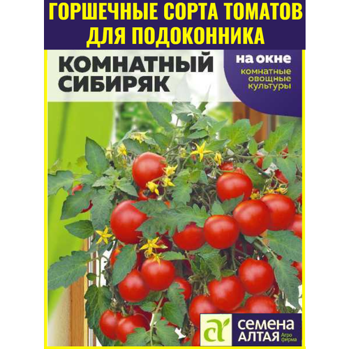 фото Семена томата Комнатный сибиряк - 0,05 г. Ранний урожайный сорт для подоконника и открытого грунта