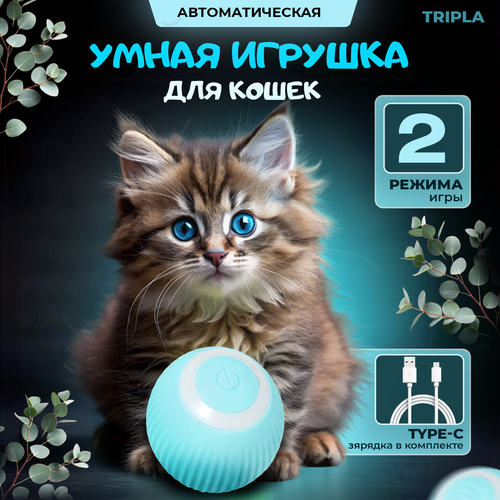 фото Игрушка для кошек, интерактивный мяч, дразнилка для котов, 2 режима, зарядка USB в комплекте (голубой цвет)