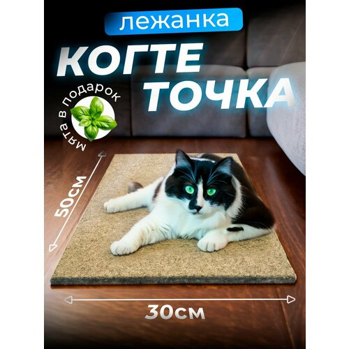 фото Когтеточка для кошки напольная лежанка с кошачьей мятой, 50х30 см/ бежевая