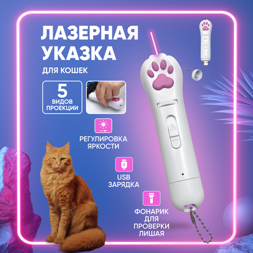 фото Лазерная указка для кошек / Игрушка для кошек / Лазер дразнилка с usb