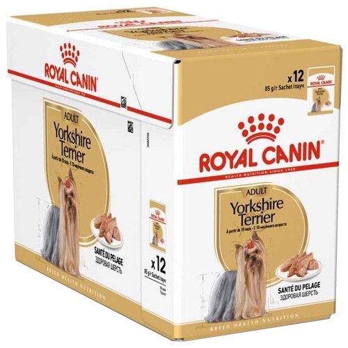 фото Влажный корм для собак Royal Canin породы Йоркширский терьер, для здоровья кожи и шерсти 1 уп. х 12 шт. х 85 г