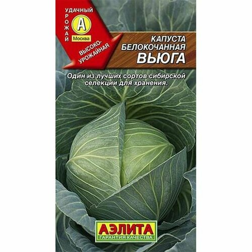 Семена Капуста белокочанная Вьюга П. (Аэлита) 0,3г фото