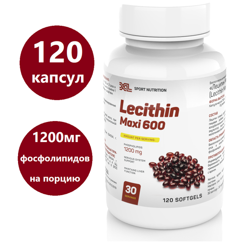 фото Соевый лецитин XL Lecithin Maxi, 120 капсул, фосфолипиды эссенциальные