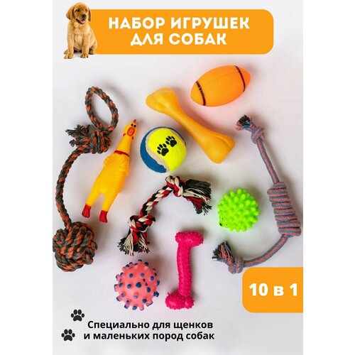 фото Игрушки для собак ZooDomans набор 10 шт