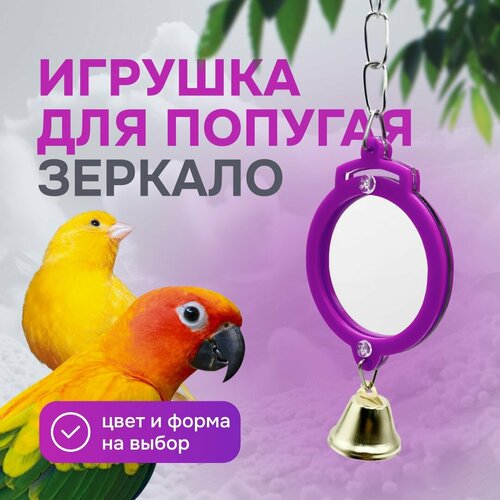 фото Игрушка для попугаев и птиц - зеркало