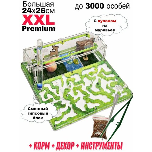 фото Большая муравьиная ферма XXL Premium 24*26см Полный комплект Салат