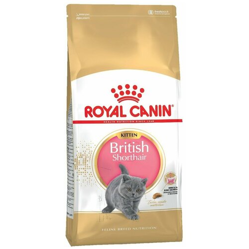 фото Корм сухой ROYAL CANIN British Kitten Shorthair для котят породы британской короткошерстной 400г 2 шт.