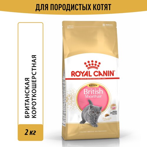 фото Корм Royal Canin British Shorthair Kitten (Британская Короткошерстная Киттен) сухой сбалансированный для британских короткошерстных котят, 2 кг