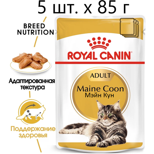 фото Влажный корм для кошек Royal Canin Maine Coon Adult, для взрослых кошек породы мейн-кун, 5 шт. х 85 г (кусочки в соусе)