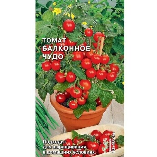 Семена Томат Балконное чудо, 0,1г, скороспелый, для выращивания на балконе или подоконнике, веранде. фото