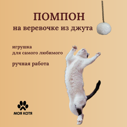 фото Игрушка для кошки на веревочке Моя Котя 