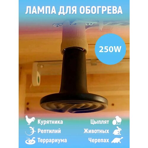 фото Лампа керамическая для обогрева курятника, LightBest, 250W