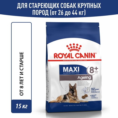 фото Сухой корм для собак Royal Canin Maxi Ageing 8+ для крупных пород, 15 кг