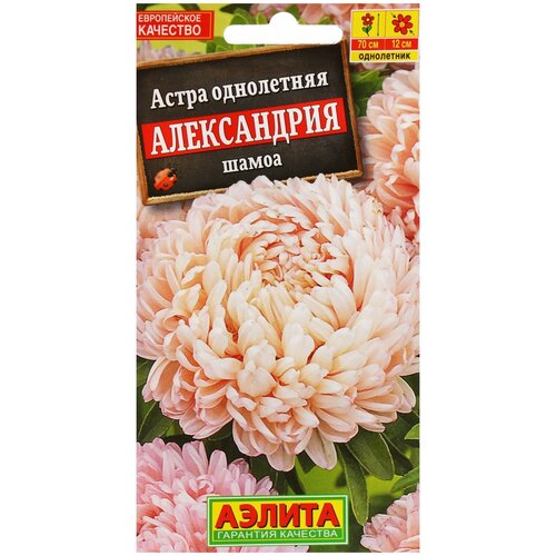 Семена Агрофирма АЭЛИТА Астра Александрия Шамоа 0.1 г фото