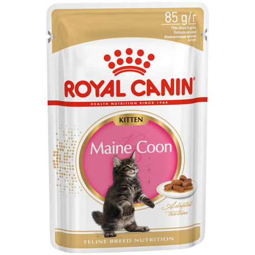 фото Влажный корм для котят Royal Canin Мейн-кун 10 шт. х 85 г (кусочки в соусе)