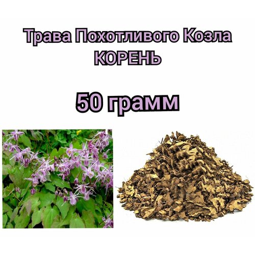 фото Горянка, Трава похотливого козла 50 грамм, Горянка корень сушеный