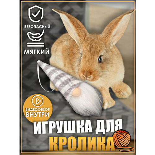 фото Игрушка для кролика, гномики, игрушки для грызунов, игрушки для животных