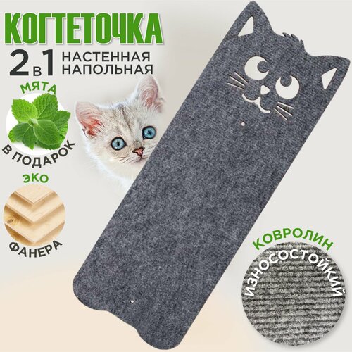 фото Когтеточка настенная с кошачьей мятой 2в1