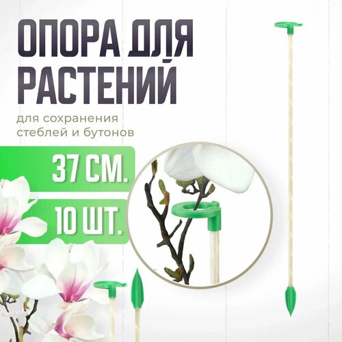 фото Опора для растений с кольцом, колышки садовые для рассады, для орхидей , комнатных цветов 37 см 10 шт